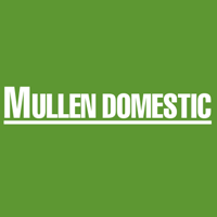 Mullen Domestic - Sponsor of Project St.Patrick, Enniskillen Parade and Family Fun Day